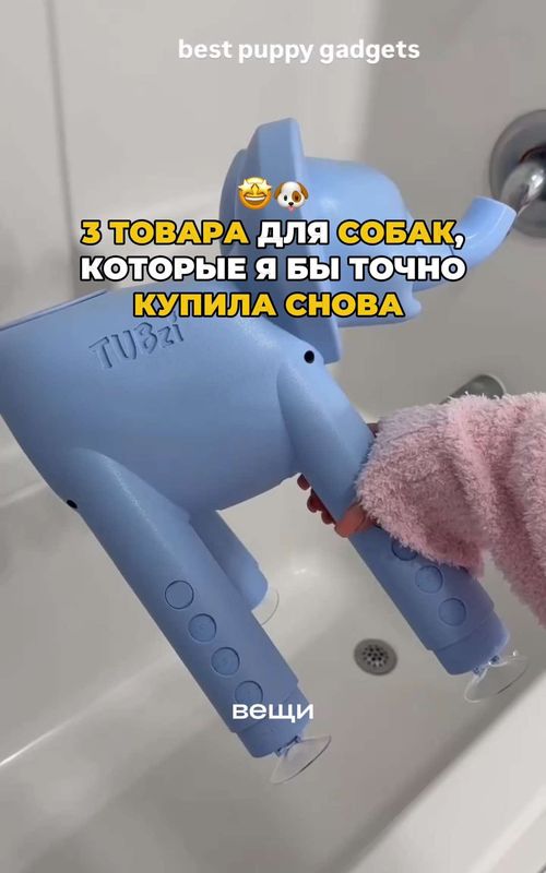 Как ухаживать за зубами собаки: полезные товары для владельцев