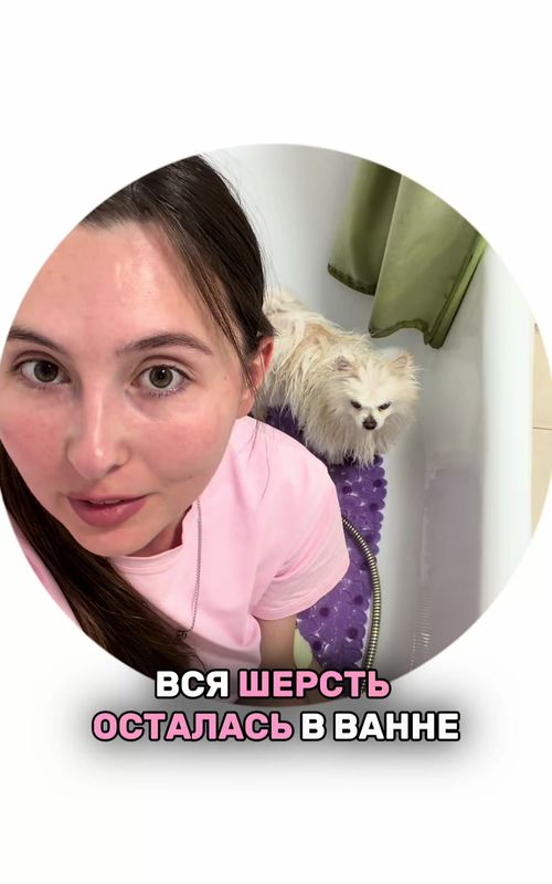 Как избавиться от шерсти дома: обзор эффективного шампуня